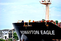 ROWAYTON EAGLE - ( BULK )