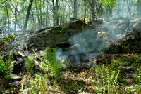 FERRY LOTS LANE - FOREST FIRE 5/18/17